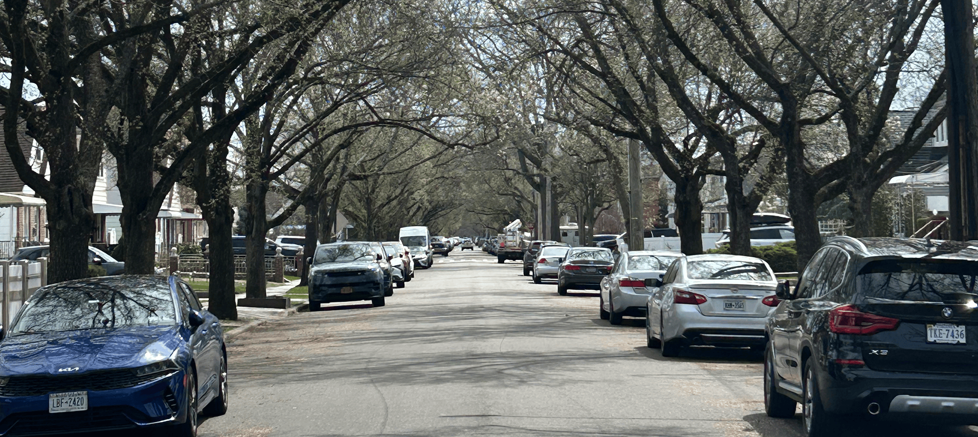 Tree lined road with cars parked on either side