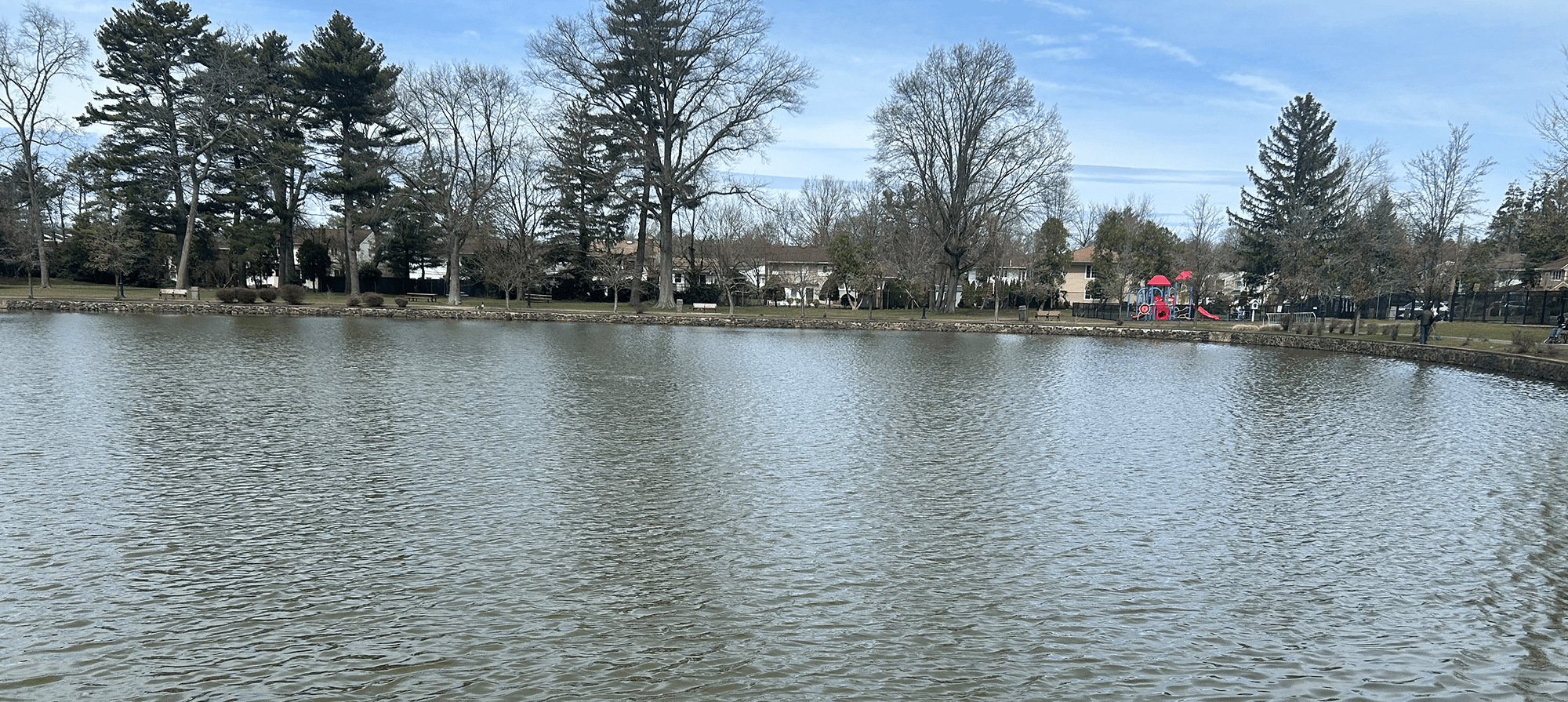 Pons and a Park